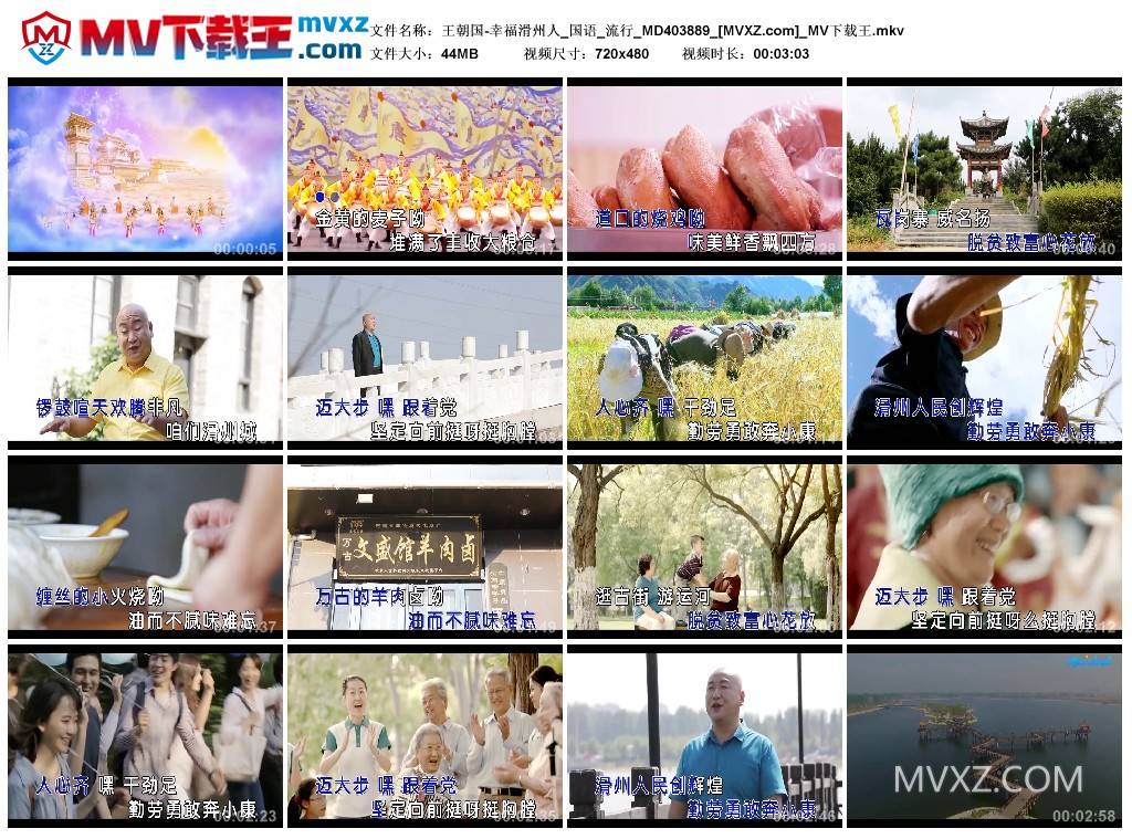 王朝国-幸福滑州人_国语_流行_MD403889